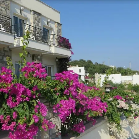 Gloria Tibi 2* Gumbet